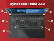 Dynabook Tecra Delivers Infographic